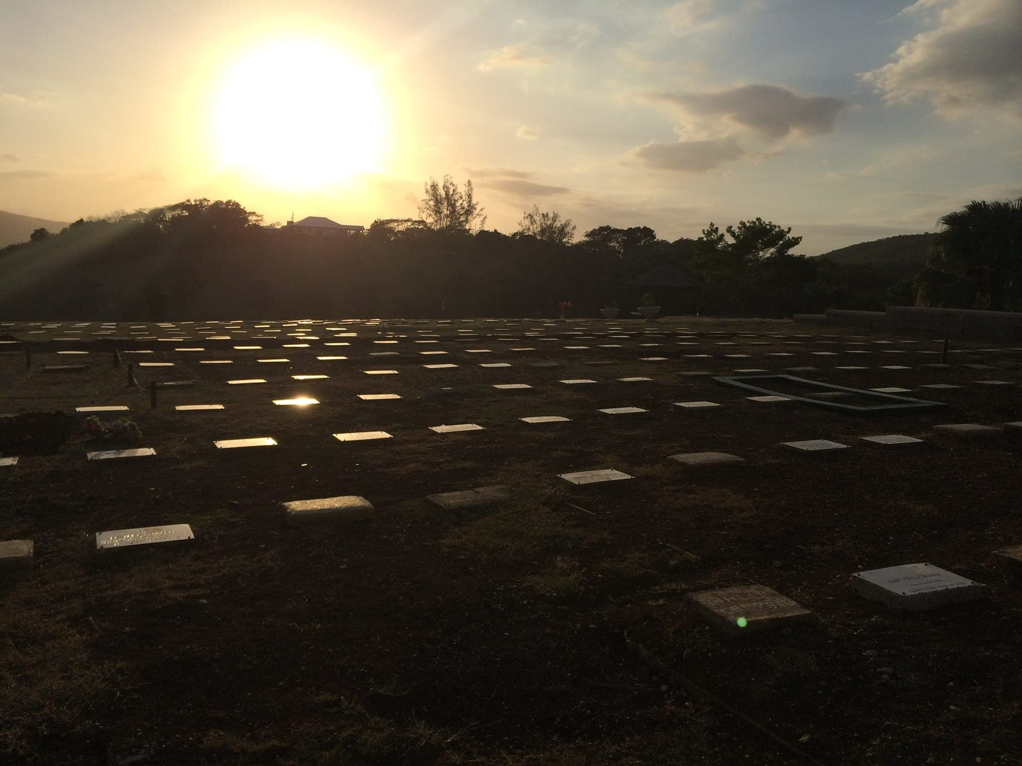 Setting sun over the memorial lawns